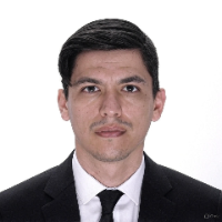 Ruiz Pickmans Reiser Aroldo